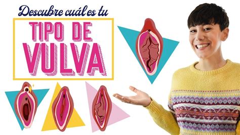 tipos de panochas|Los tipos de vulvas que hay y su anatomía .